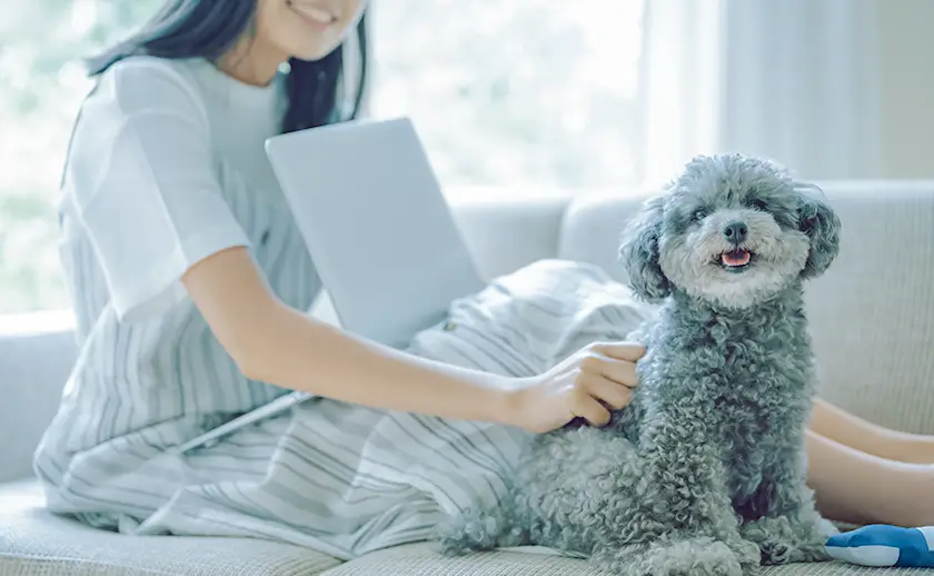 大好きなペットと暮らす